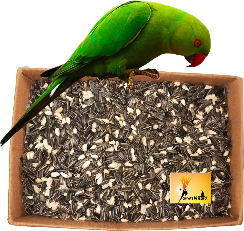 Parrots Wizard karada sunflower mix 900 0.9 kg Dry Adult Bird Food Price in India Buy Parrots Wizard karada sunflower mix 900 0.9 kg Dry Adult Bird Food online at Flipkart