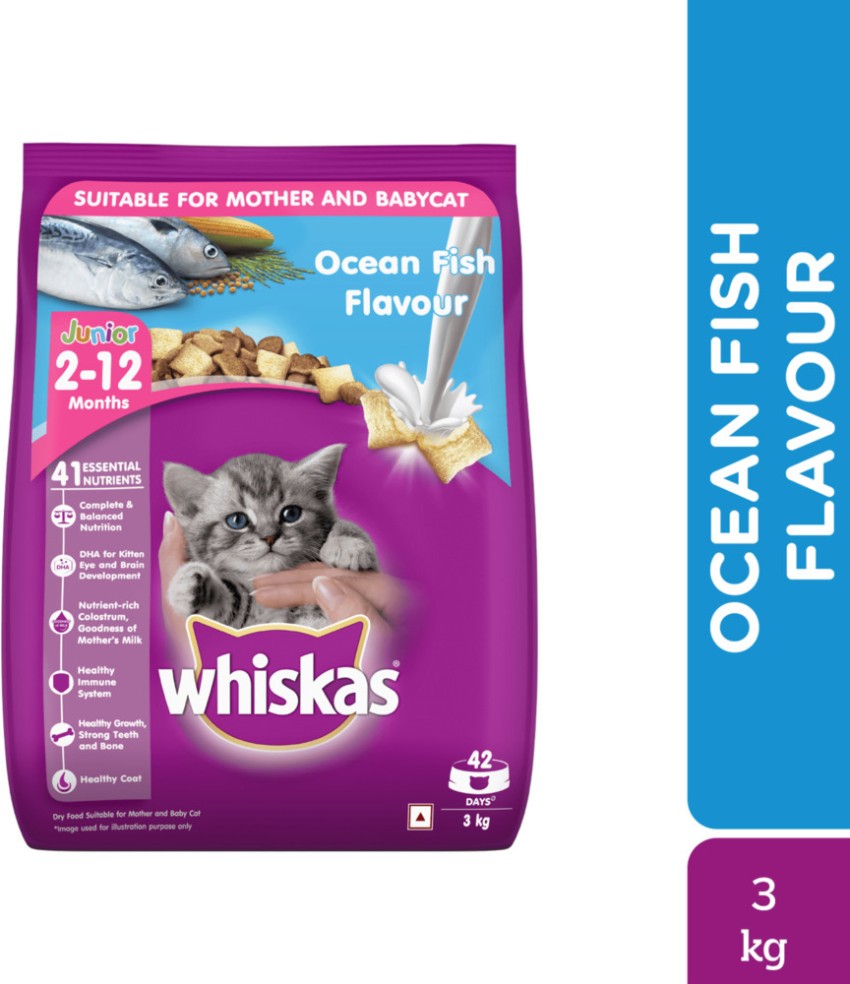 Cat food for 2 month old kitten hotsell