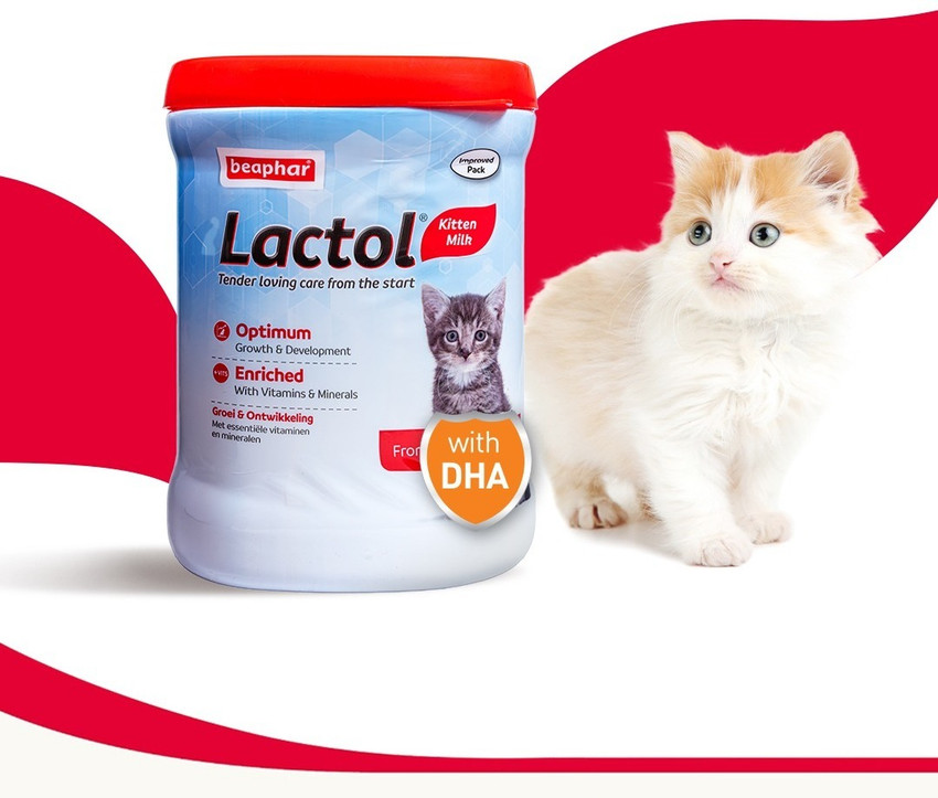 Beaphar kitty milk new arrivals