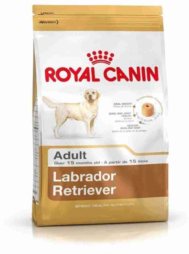 Royal Canin Labrador Retriever 3 kg Dry Adult Dog Food Price in India Buy Royal Canin Labrador Retriever 3 kg Dry Adult Dog Food online at Flipkart