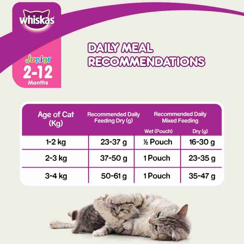 Whiskas Kitten 2 12 months Fish 1.1 kg Dry Young Cat Food Price