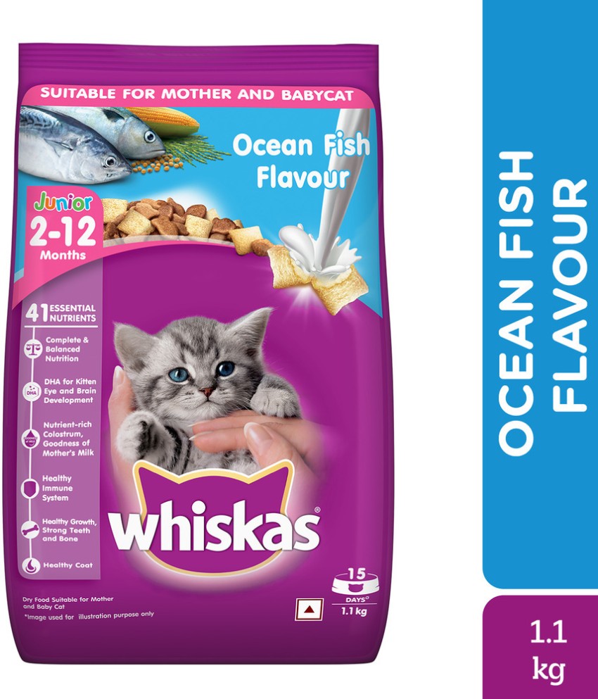 Whiskas 2 12 Months Fish 1.1 kg Dry Young Cat Food Price in India Buy Whiskas 2 12 Months Fish 1.1 kg Dry Young Cat Food online at Flipkart