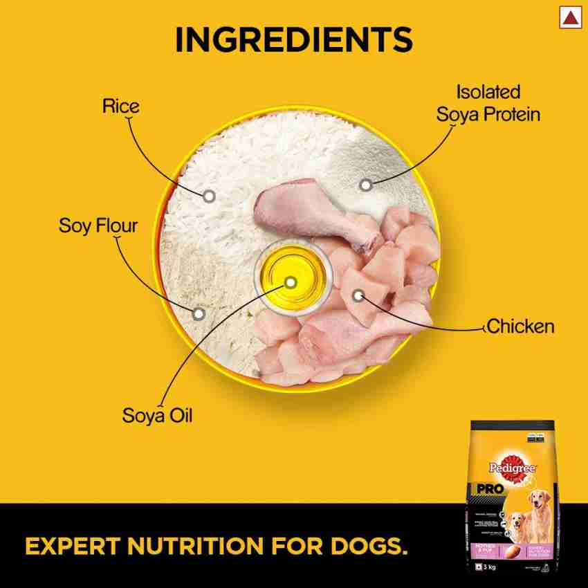 Pedigree dog shop food starter