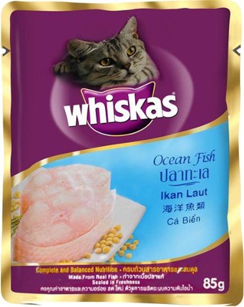Cat food 2025 online flipkart