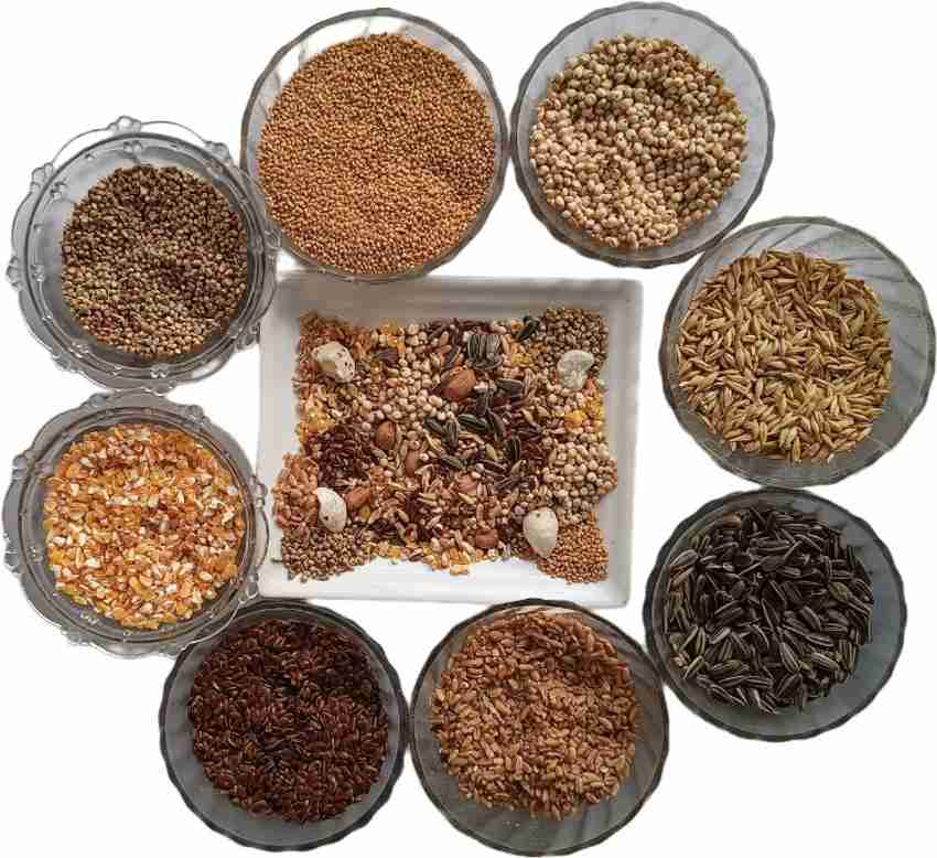 Bird seed types sale