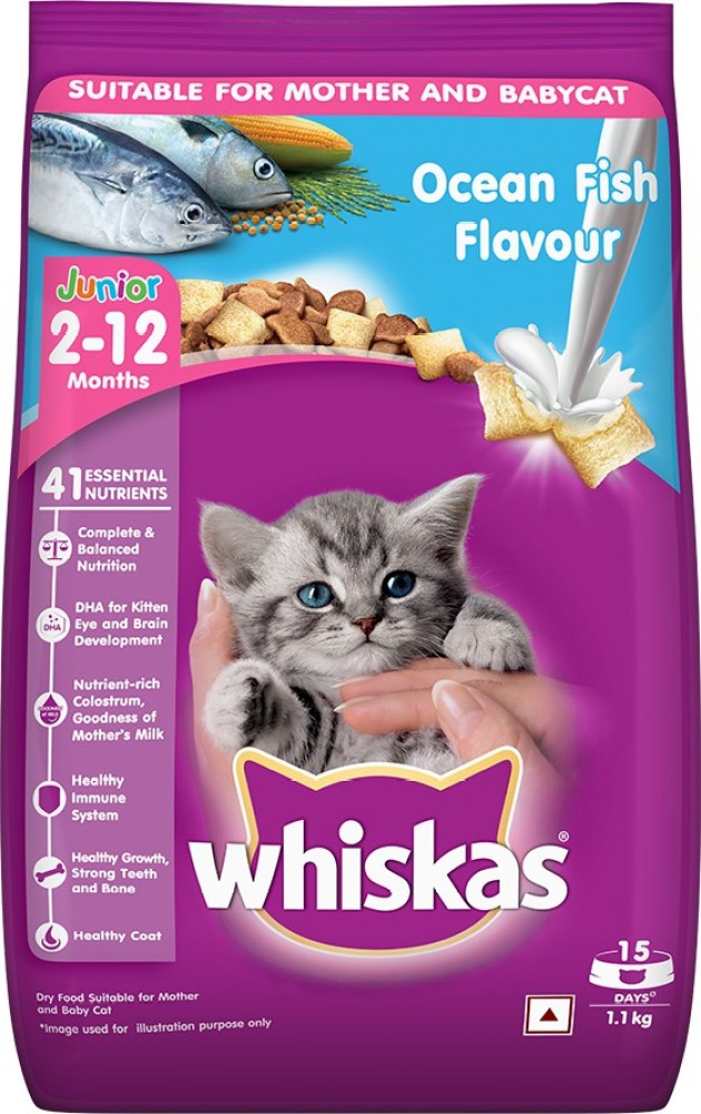 Whiskas kitten 2025 dry food