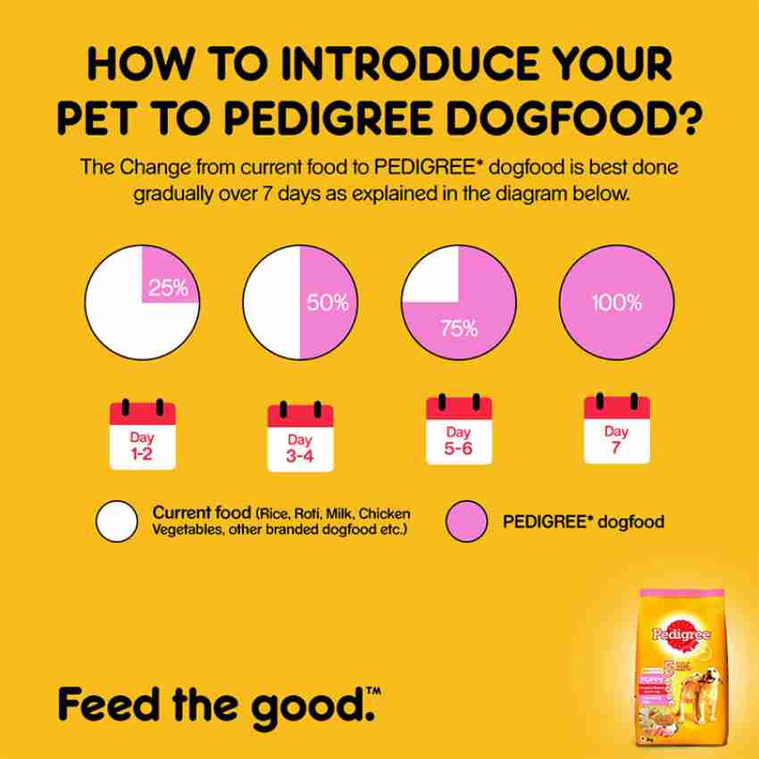 Pedigree in outlet big bazaar