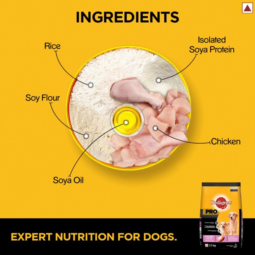 Pedigree for shop pregnant dogs