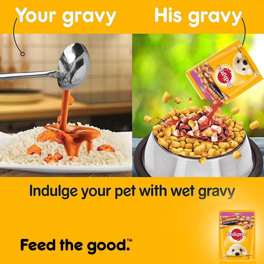 Pedigree gravy dog clearance food