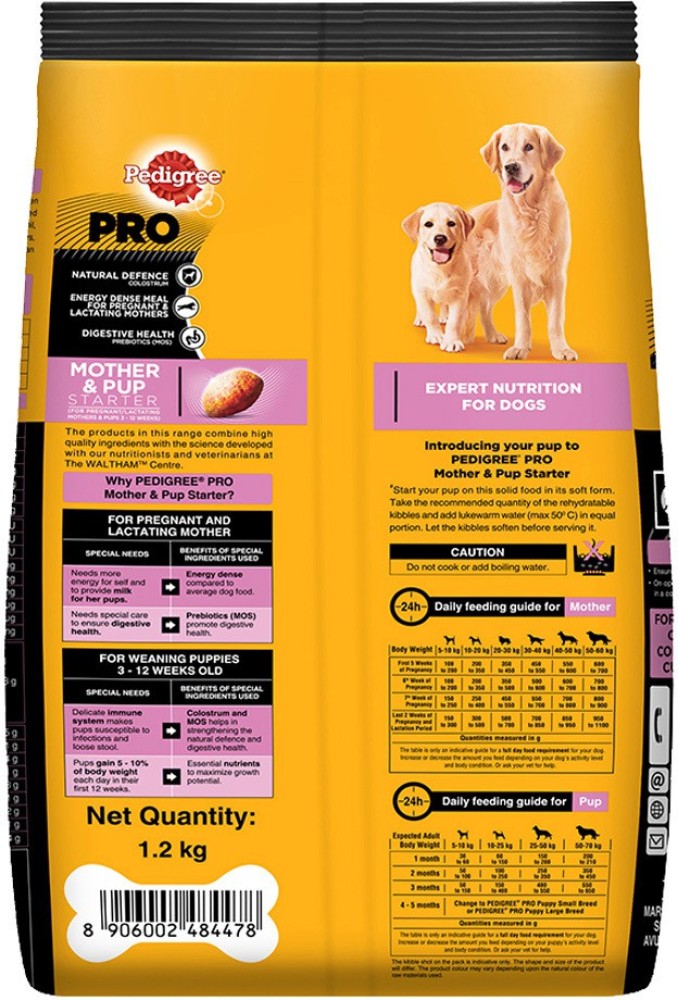 Pregnant top dog food