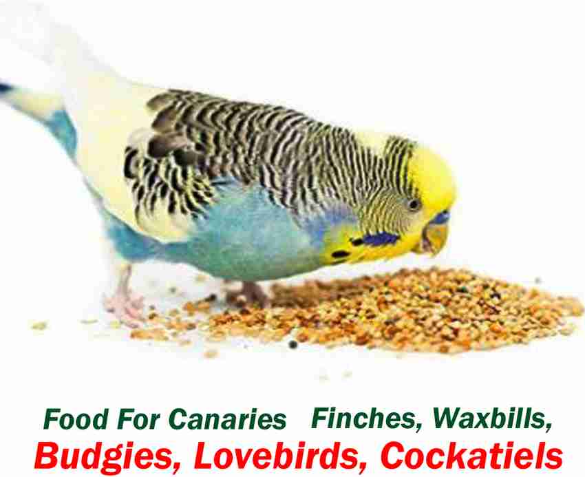 Budgerigar food list shop