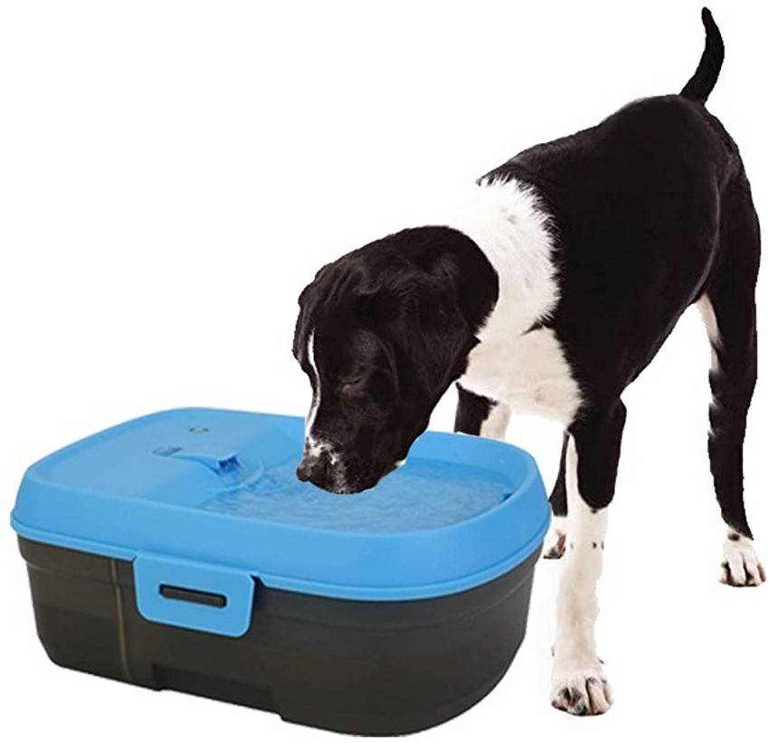 Goofy Tails 6 Litre Dog H2O Cordless Water Fountain USB Powered