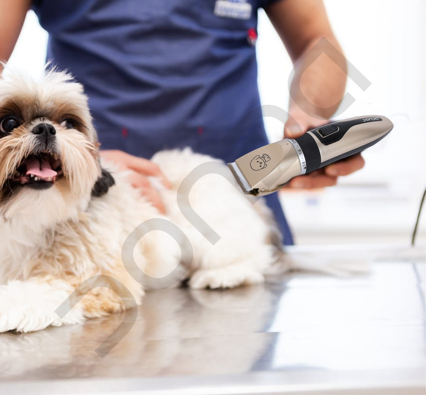 DONDA Dog Trimmer for Labrador Shih Tzu German Shepherd Pet Grooming Kit Multicolor Pet Hair Trimmer Price in India Buy DONDA Dog Trimmer for Labrador Shih Tzu German Shepherd Pet Grooming