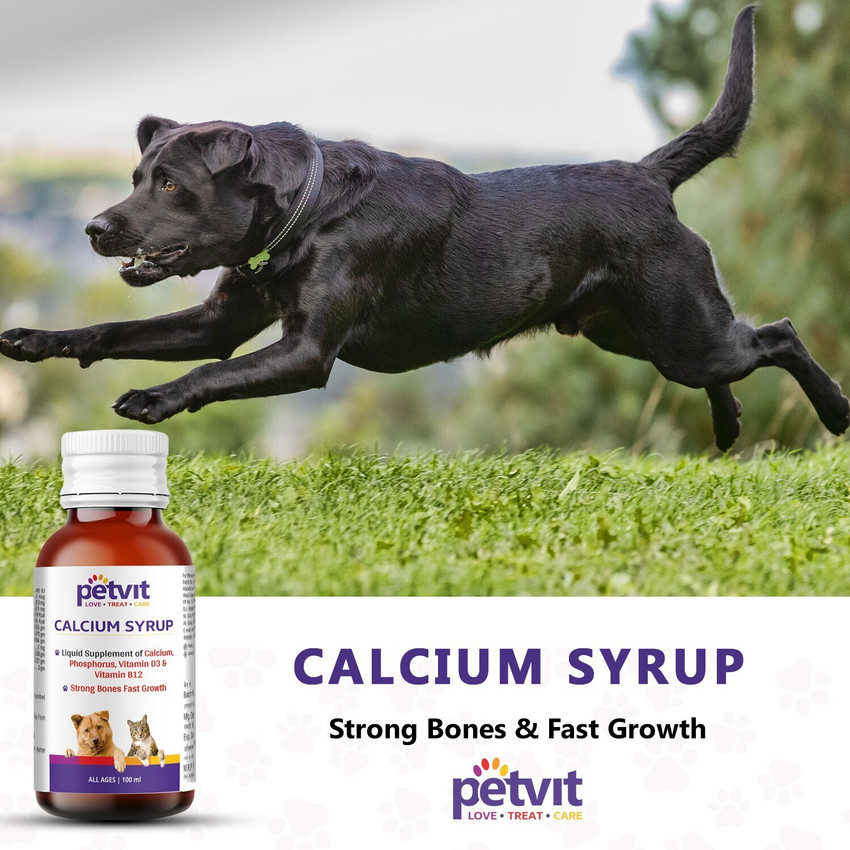 Petvit Calcium Syrup with Calcium Phosphorus Vitamin D3 B12 For Dog Stronger Bones Teeth Growth in Pet For All Age Group 100ml Pet Health Supplements Price in India