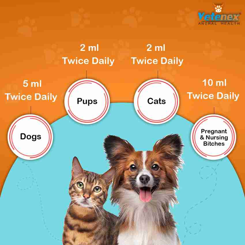 Healthy 2025 pet plus
