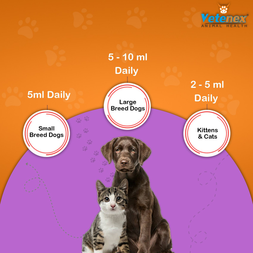 VETENEX Pet Plex Vitamin B Complex Amino Acids Syrup For Dogs