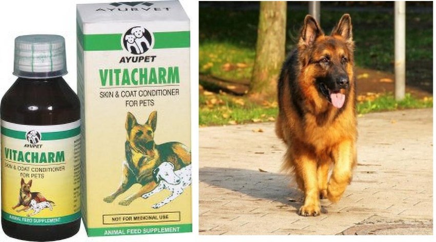 Ayurvet Vitacharm Dog Conditioner 100 ml, buy dog products online