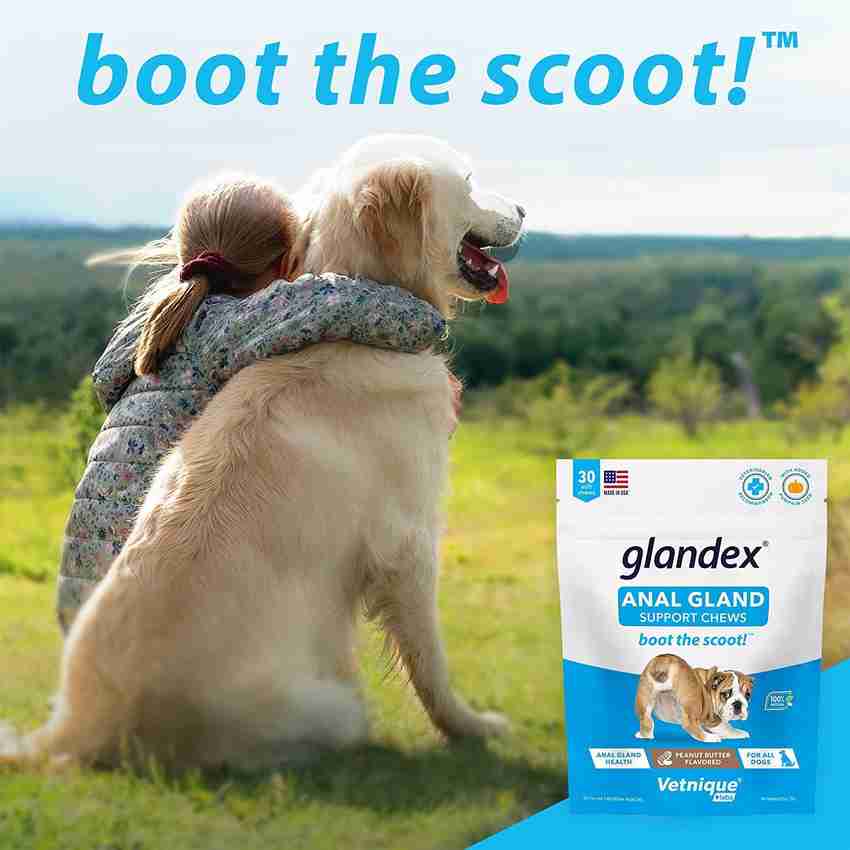 Glandex ANAL FLAND SUPPORT CHEWS Anal Gland Fiber Supplement for