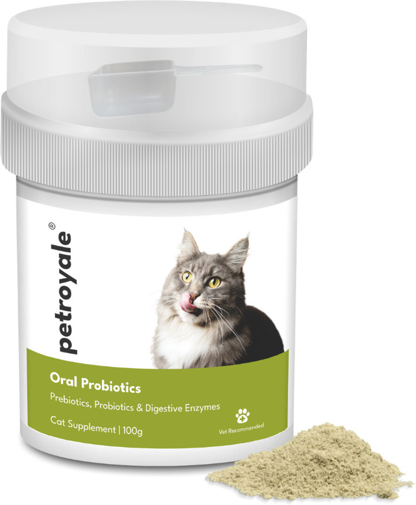 Cat digestive deals supplements