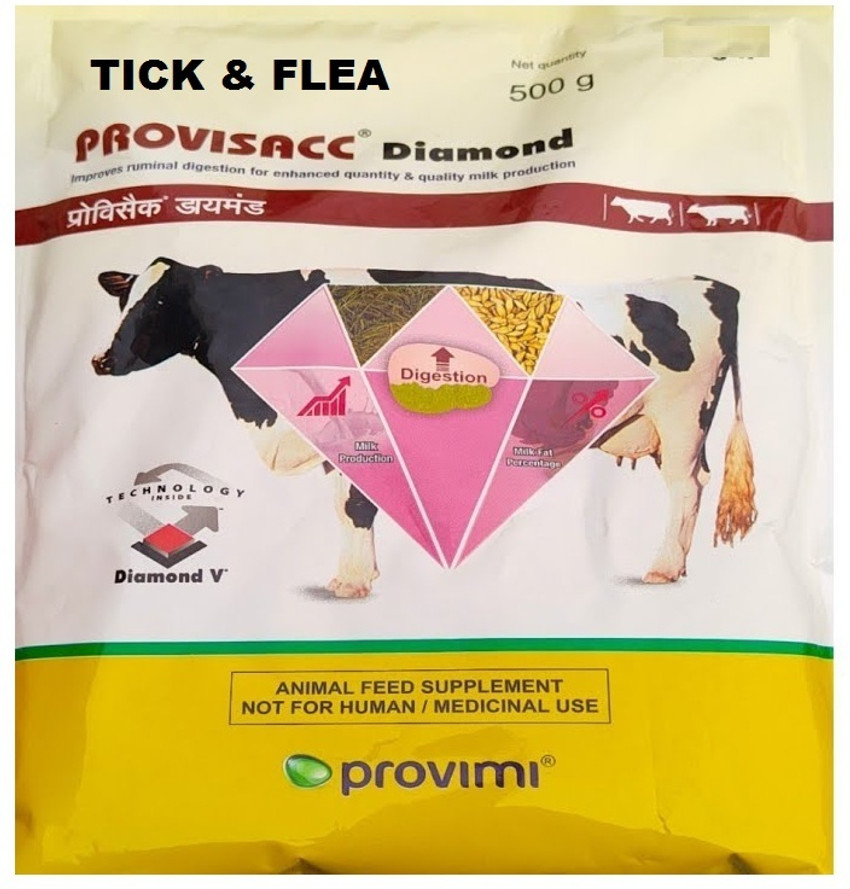 Diamond veterinary shop