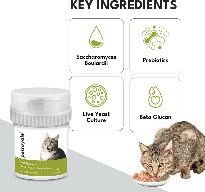Saccharomyces boulardii 2024 for cats