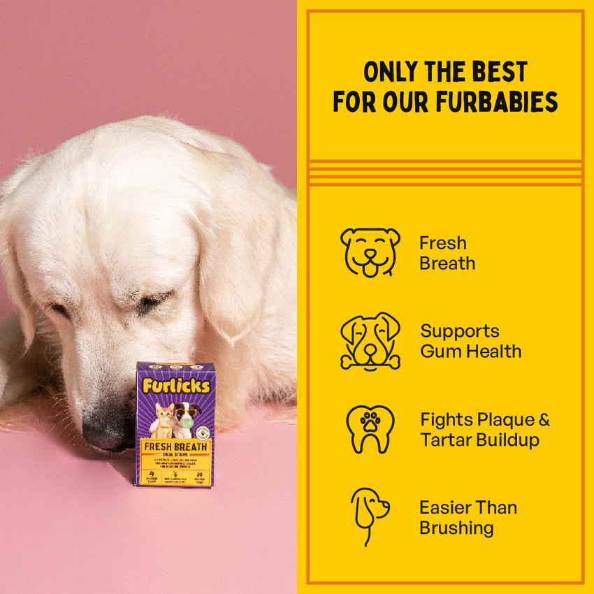 Dog breath strips online