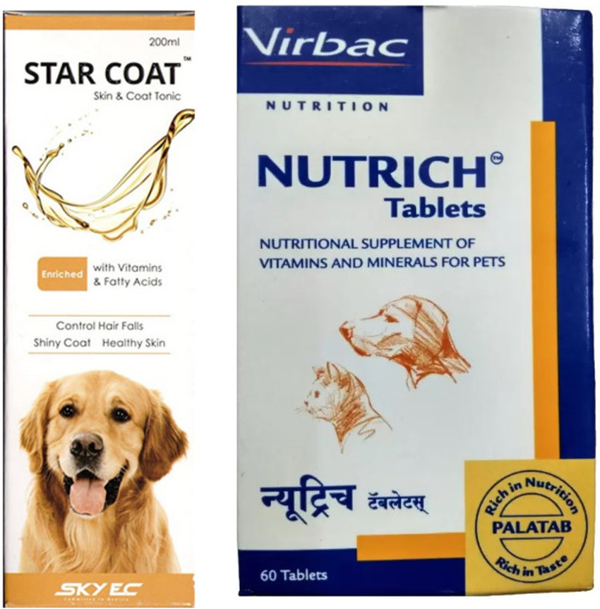 Fungal Infections in Dogs - Causes, Symptoms, and Treatments | Bartlett Vet