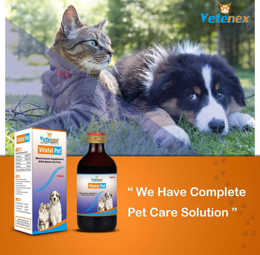 Dog multivitamin syrup shop