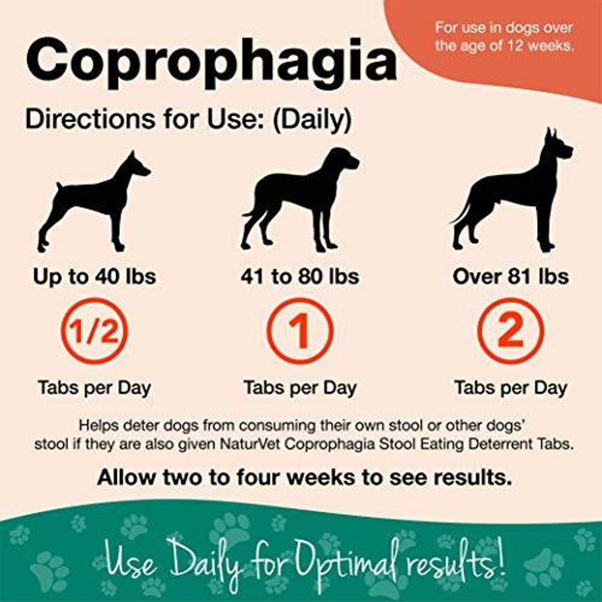 Coprophagia in dogs on sale