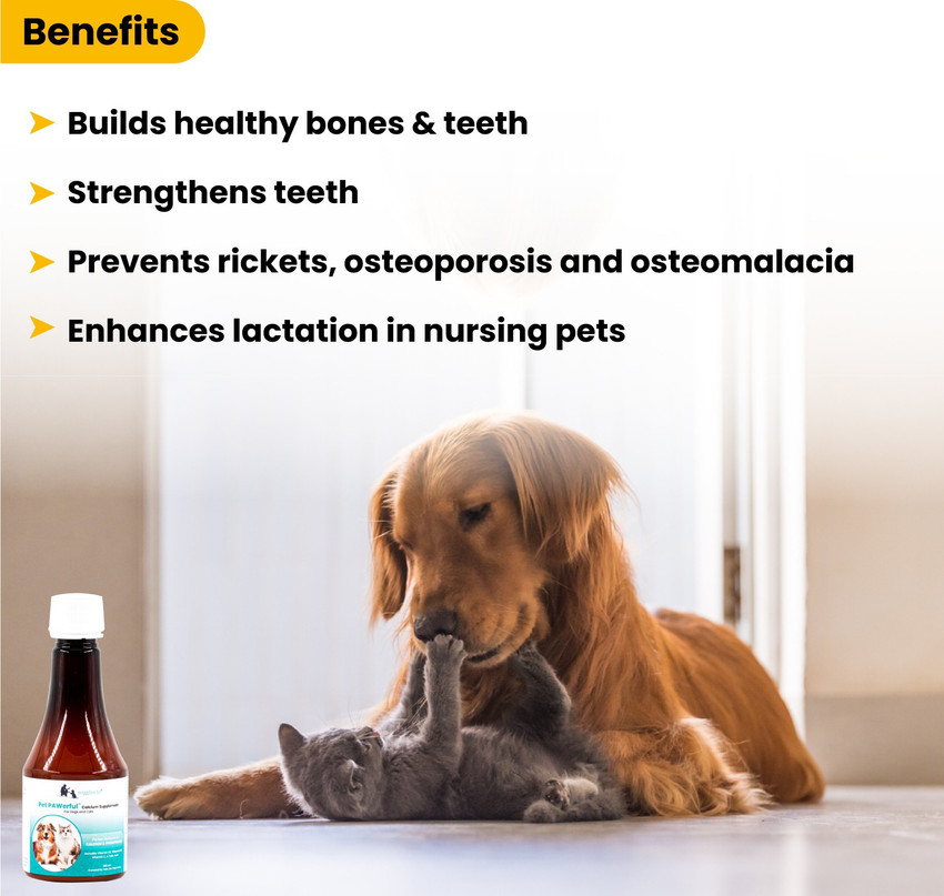Phosphorus supplement for sales dogs