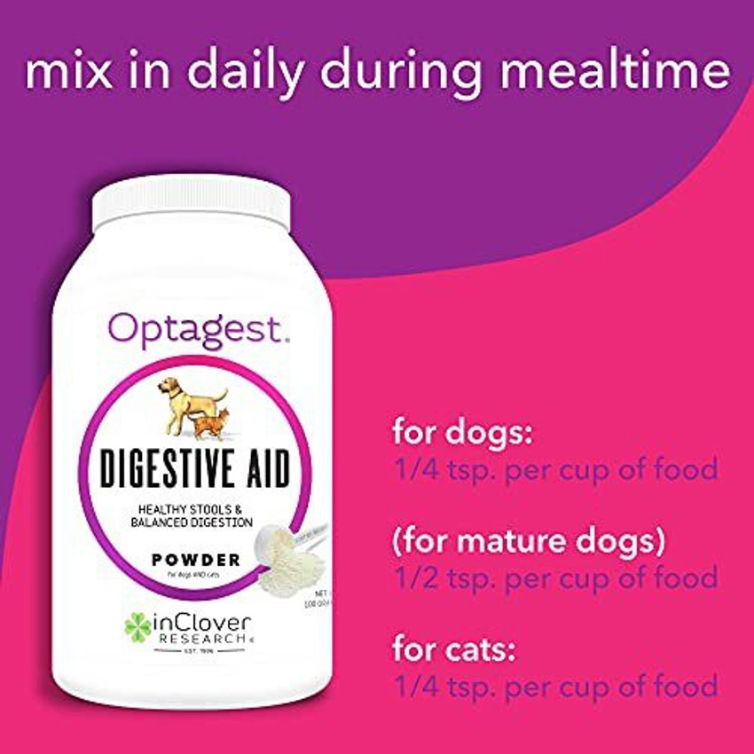 Optagest outlet for dogs