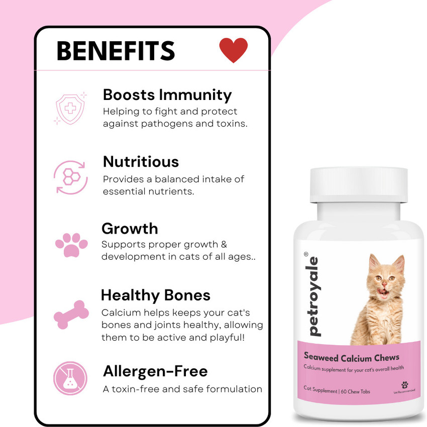 Calcium supplements for online cats