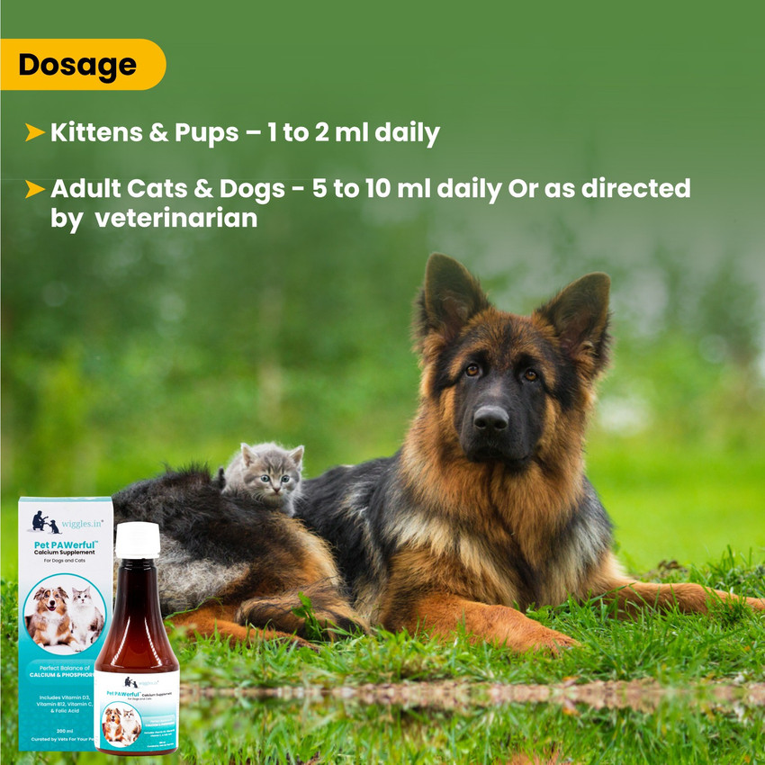 Phosphorus supplement hotsell for dogs
