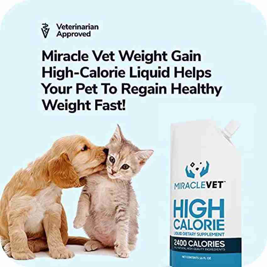 Natural weight gain for dogs top