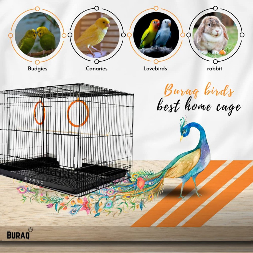 Pet bird cages 2025