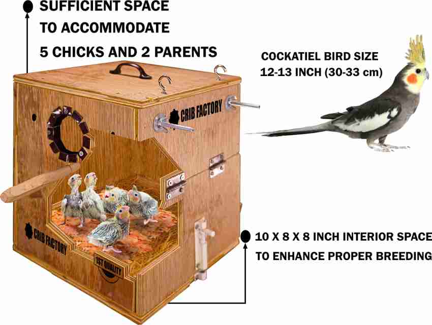 Cockatiel house hotsell