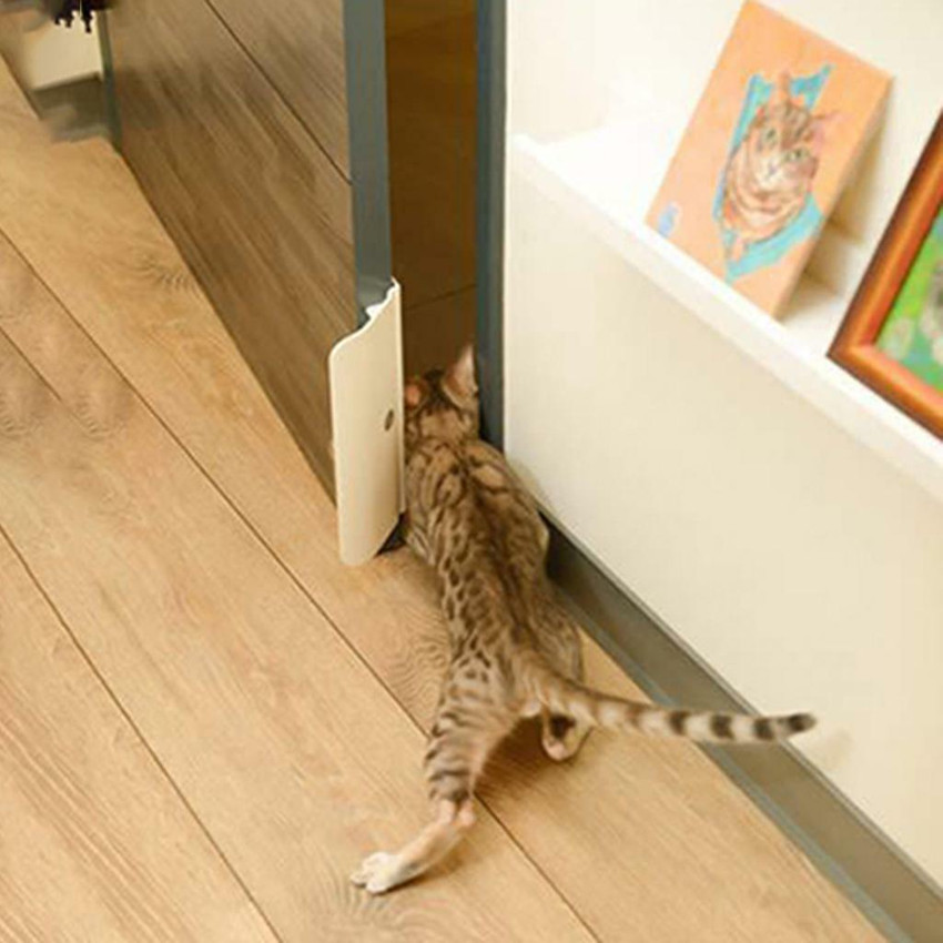 Cat flap 2024 that opens automatically