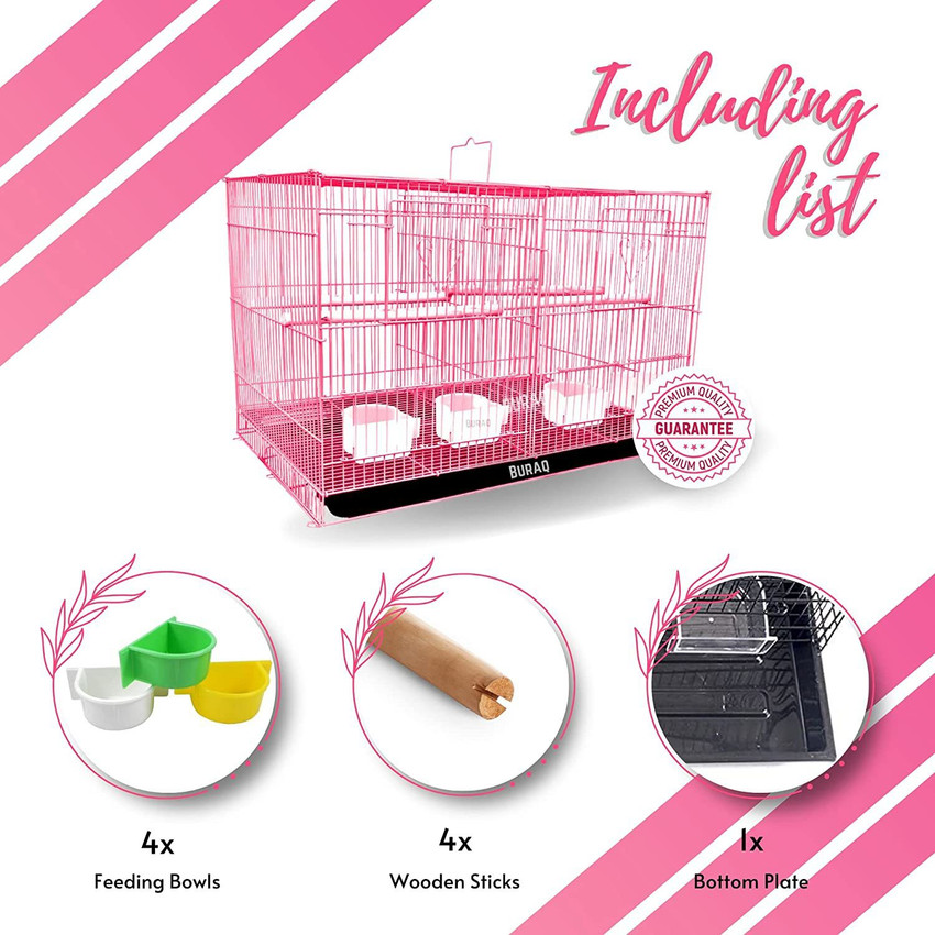 Parrot cheap pinjra online