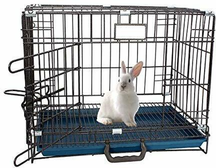 Mouse in shop rabbit hutch