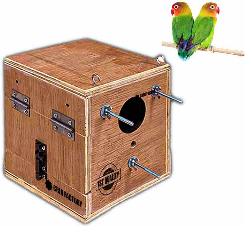 Lovebird sales breeding box