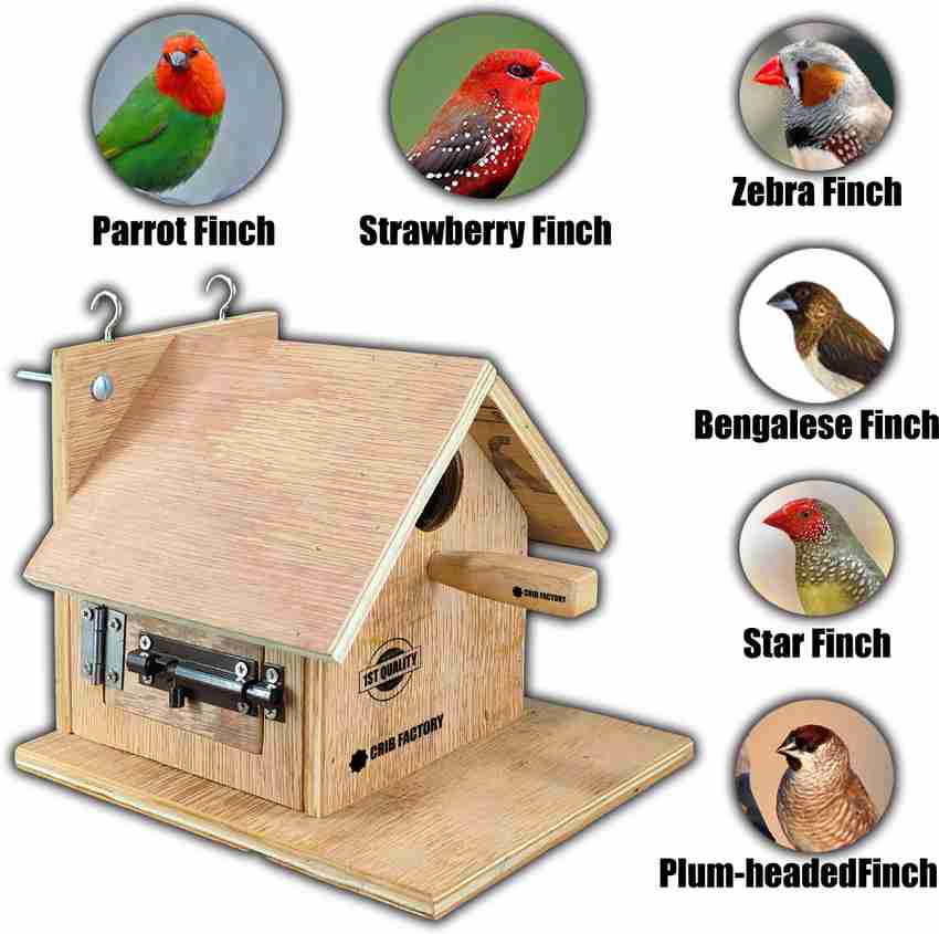 zebra finch nest box plans