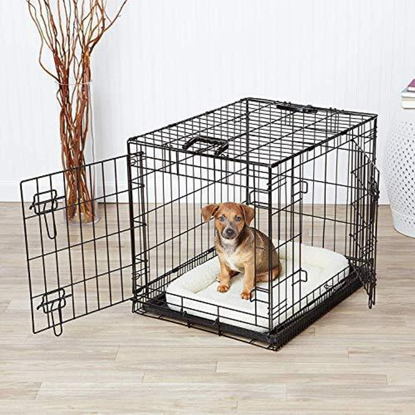 Adult dog cage clearance