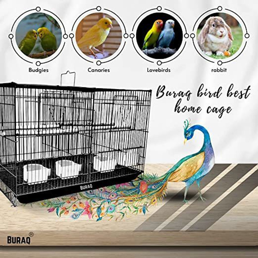 Best toys discount for lovebirds