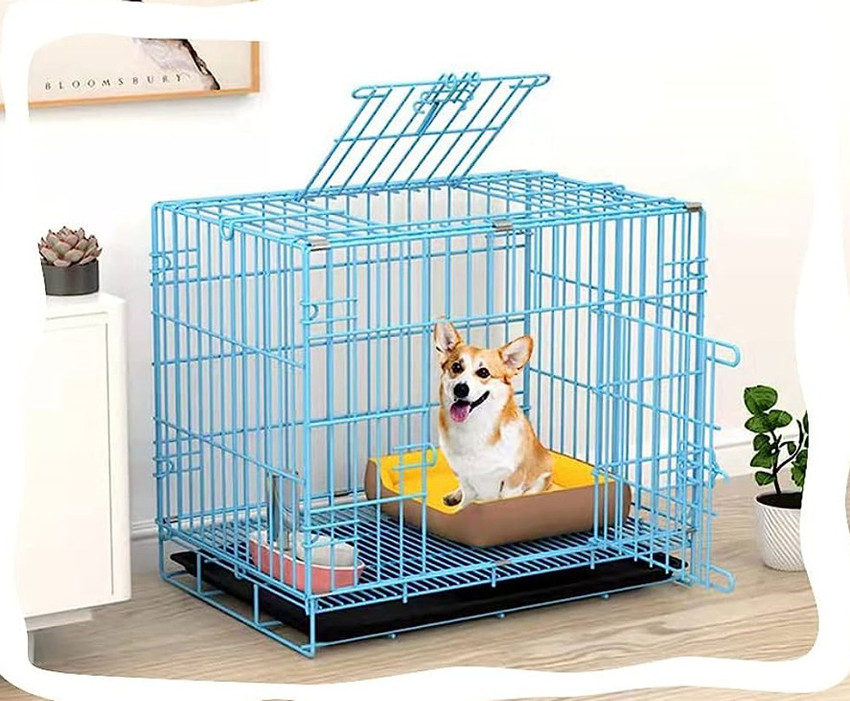 Cage of cat sale