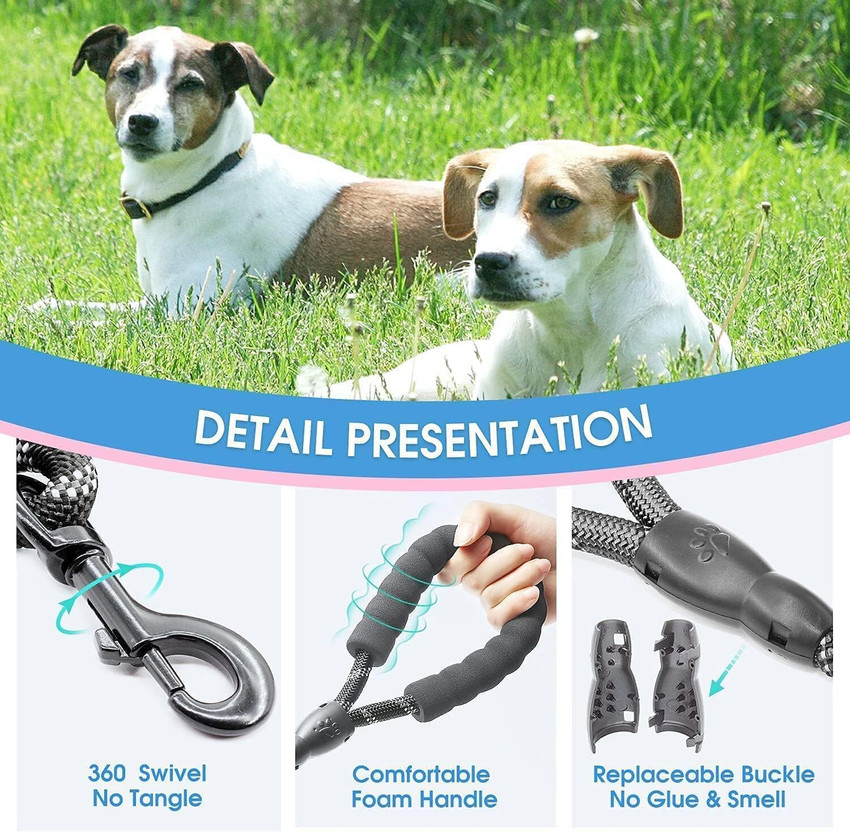 Rope leash for small dogs new arrivals