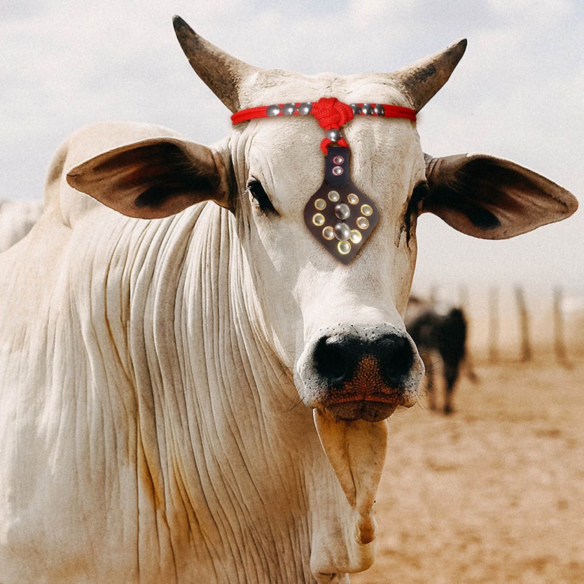 Buy Cow Badge Reel Online In India -  India