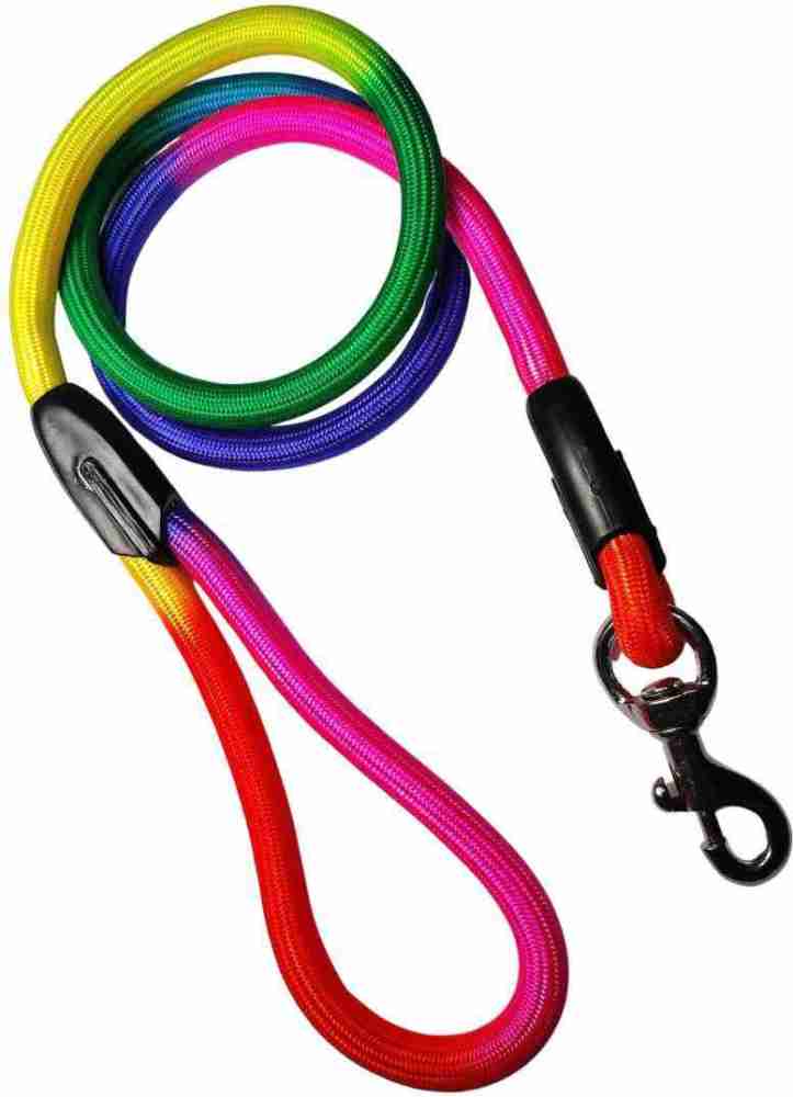 Rainbow dog hot sale lead