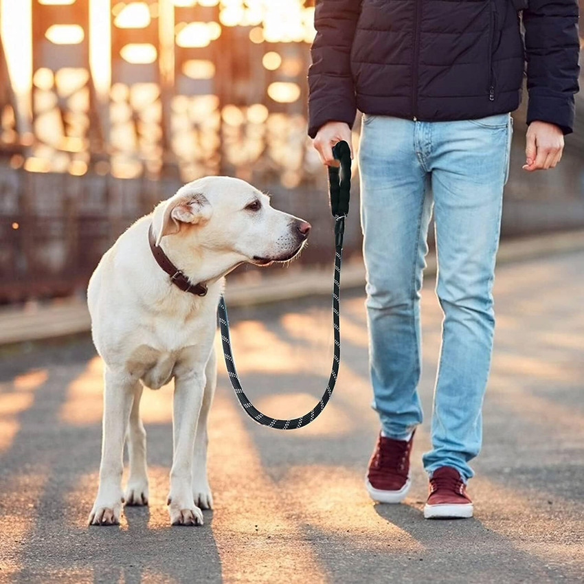 Rope leash for small dogs 2025