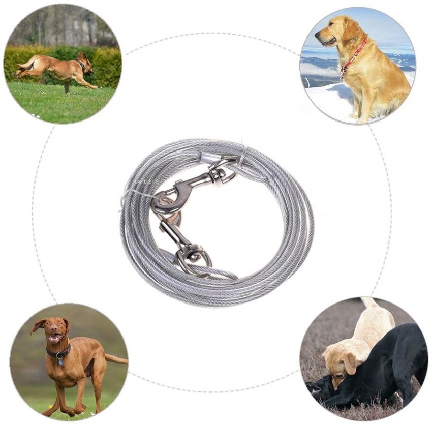 Best dog hotsell tie out cable