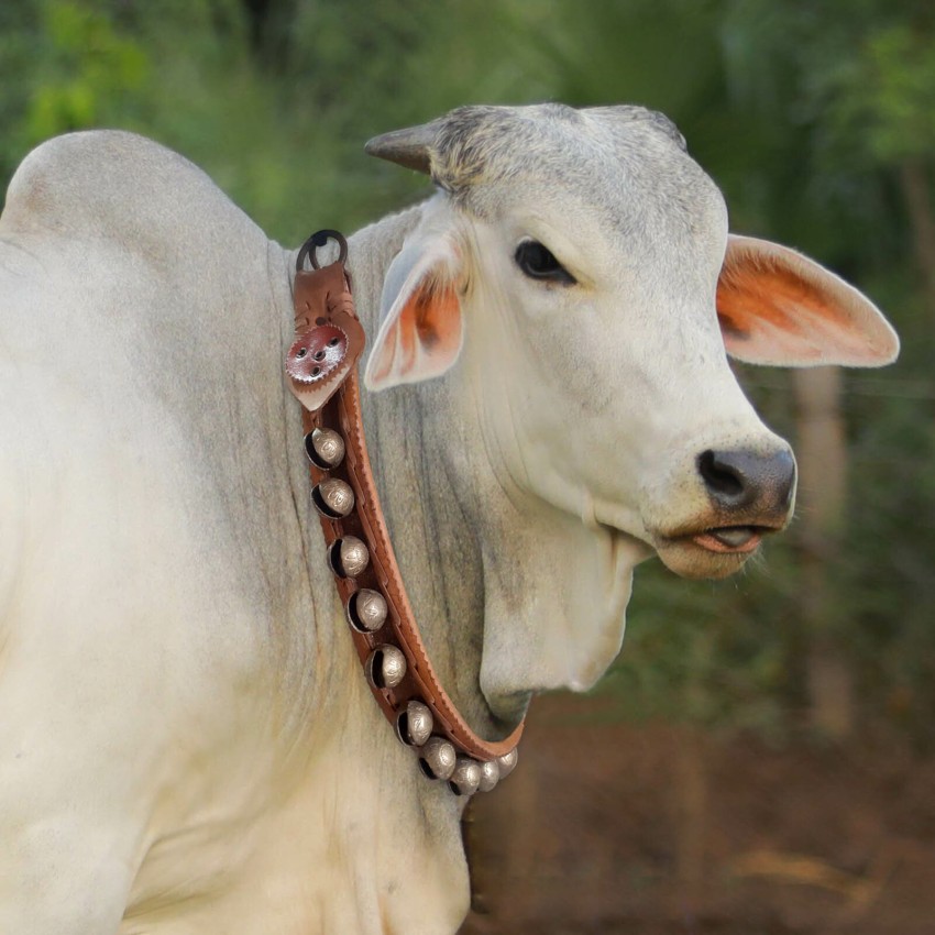 eze enterprises Cow/Bull/Buffalo Bell ,Neck Bell,Ghanti for Cow Mountable  Cowbell Price in India - Buy eze enterprises Cow/Bull/Buffalo Bell ,Neck  Bell,Ghanti for Cow Mountable Cowbell online at